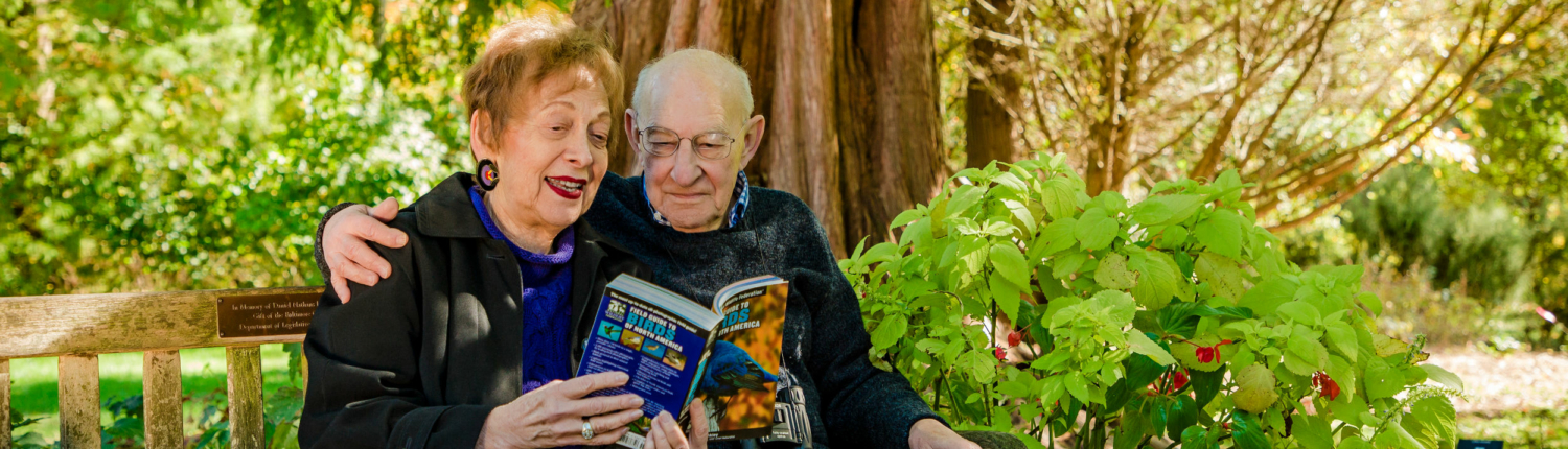 older couple reading a field guide to birds while sitting on a wooden bench under a tree