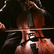 person playing cello