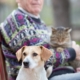 senior man sitting on a bench with two pets: a dog and a cat